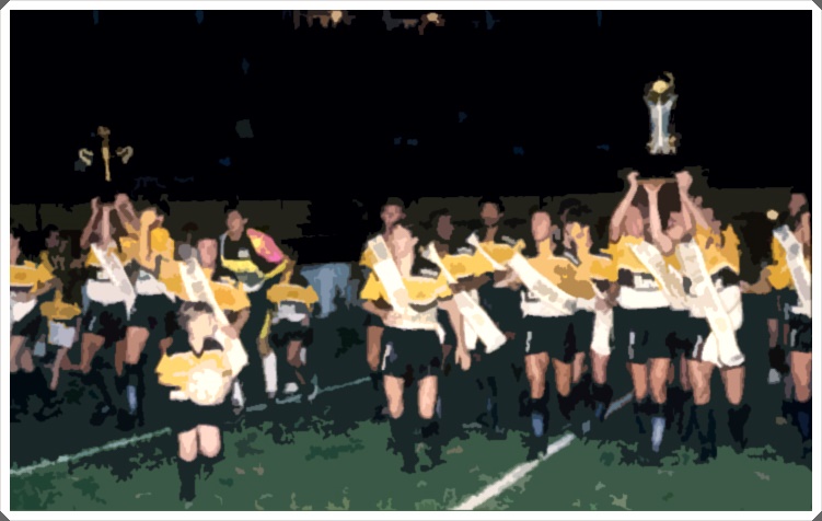 Criciúma Copa do Brasil 1991
