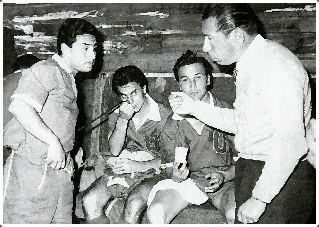 Luis Álamos Universidad de Chile