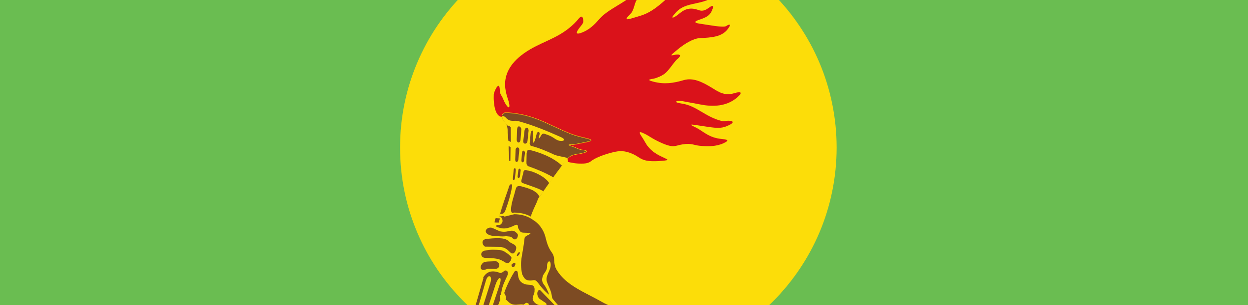 Zaire Flag