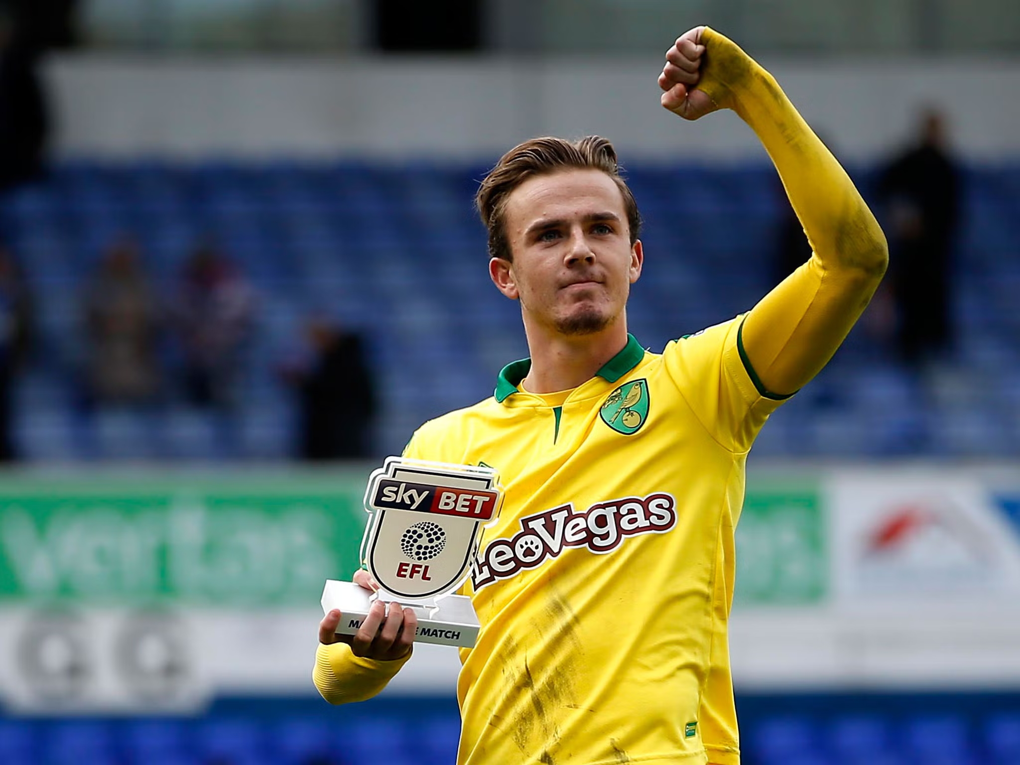 Norwich Maddison