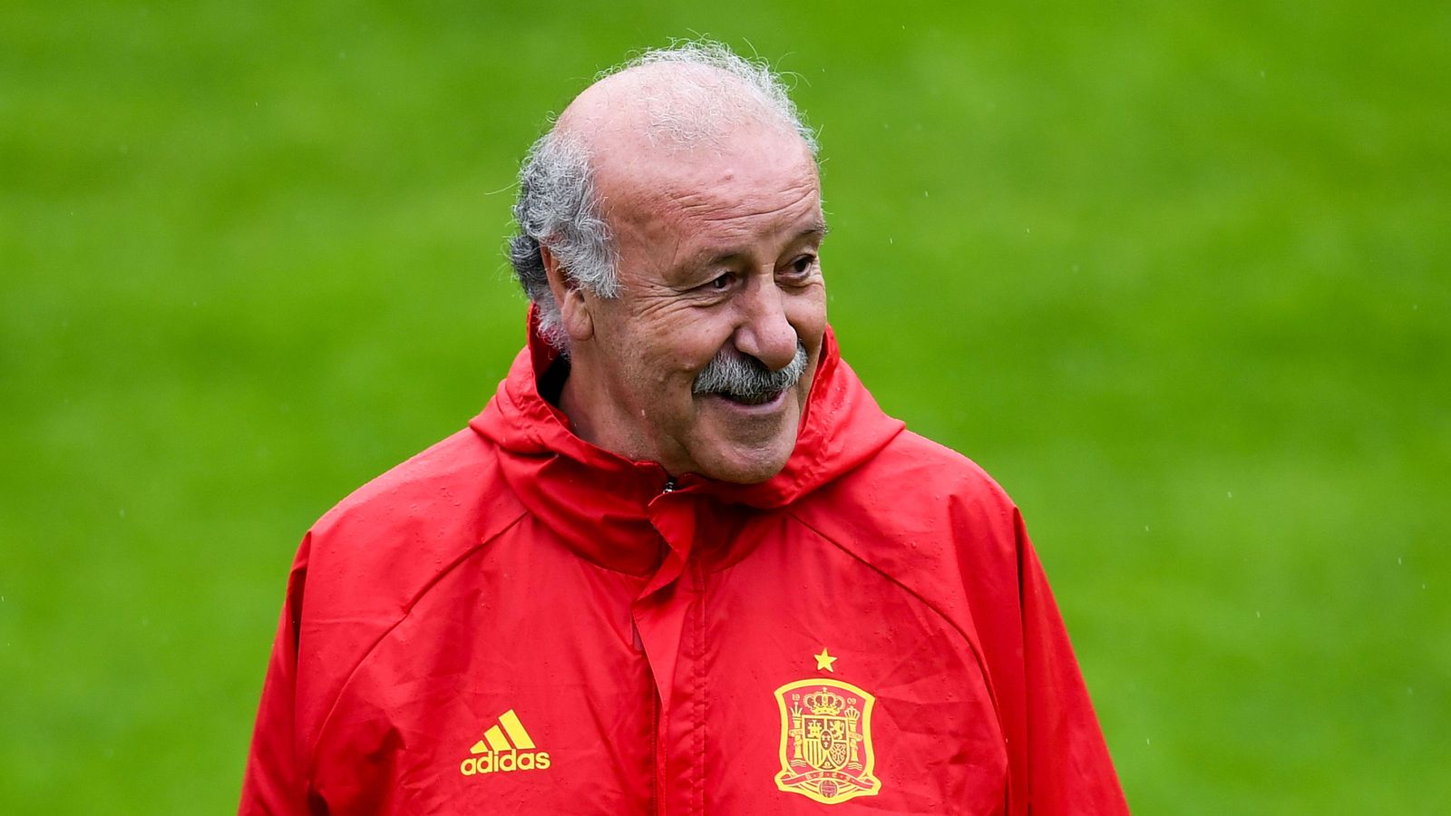 Vicente Del Bosque Spain